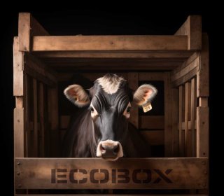 Ecobox